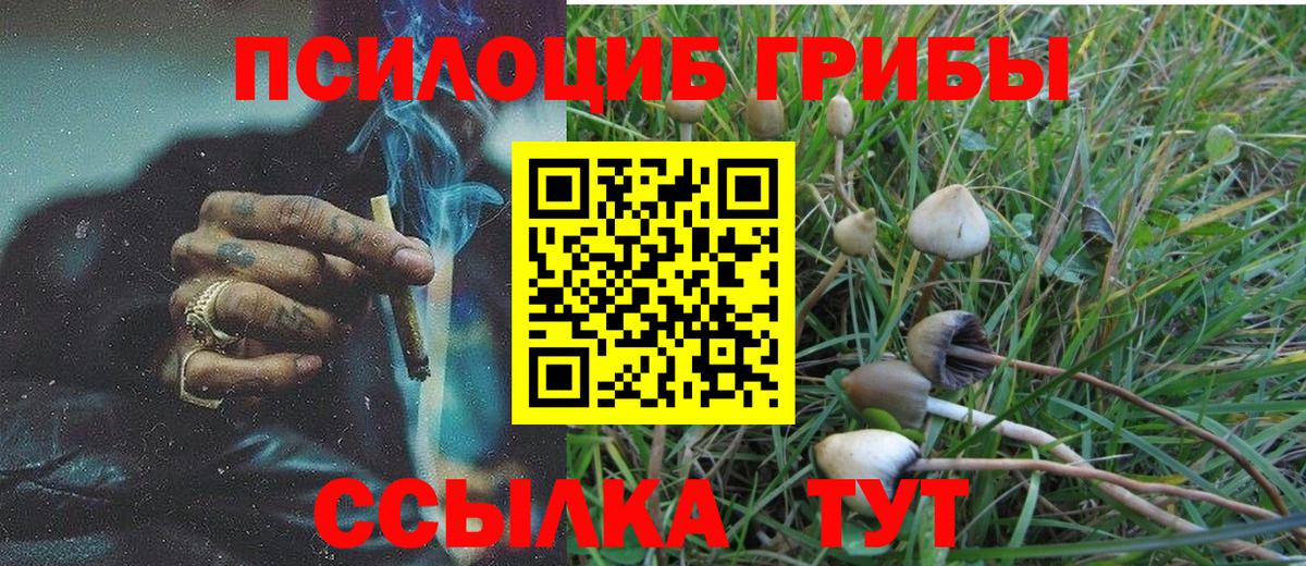 Псилоцибиновые грибы Magic Shrooms Сосновый Бор
