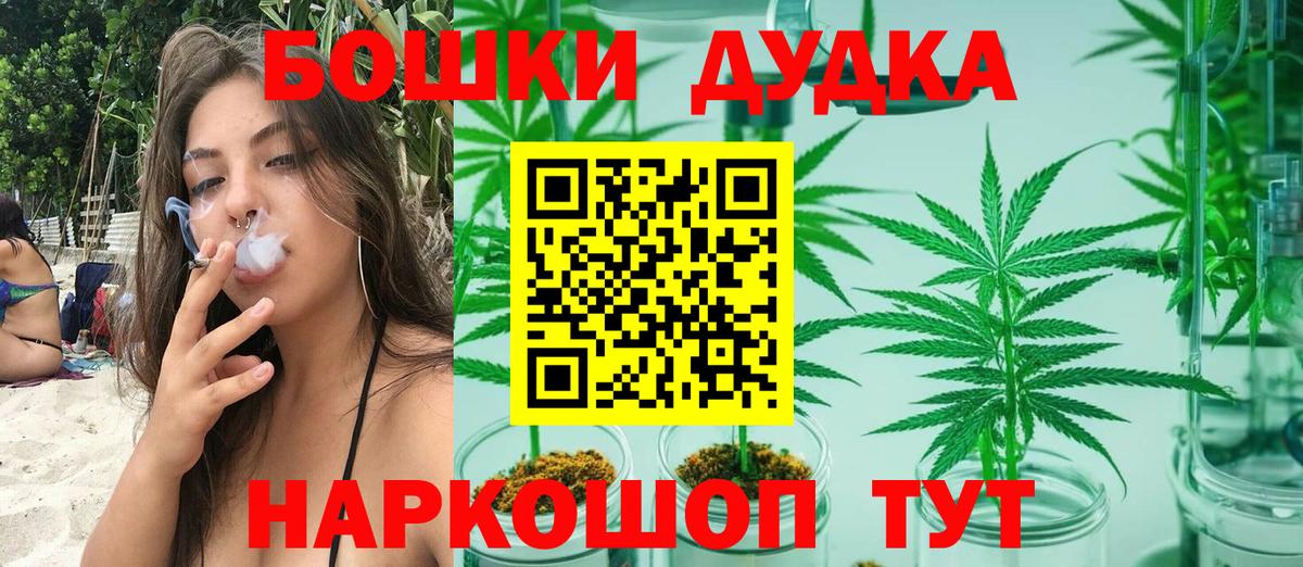 Бошки марихуана сатива  Бошки Шишки AK-47  Вход с VPN  Бошки Шишки LSD WEED  Бошки Шишки OG Kush  Сосновый Бор 